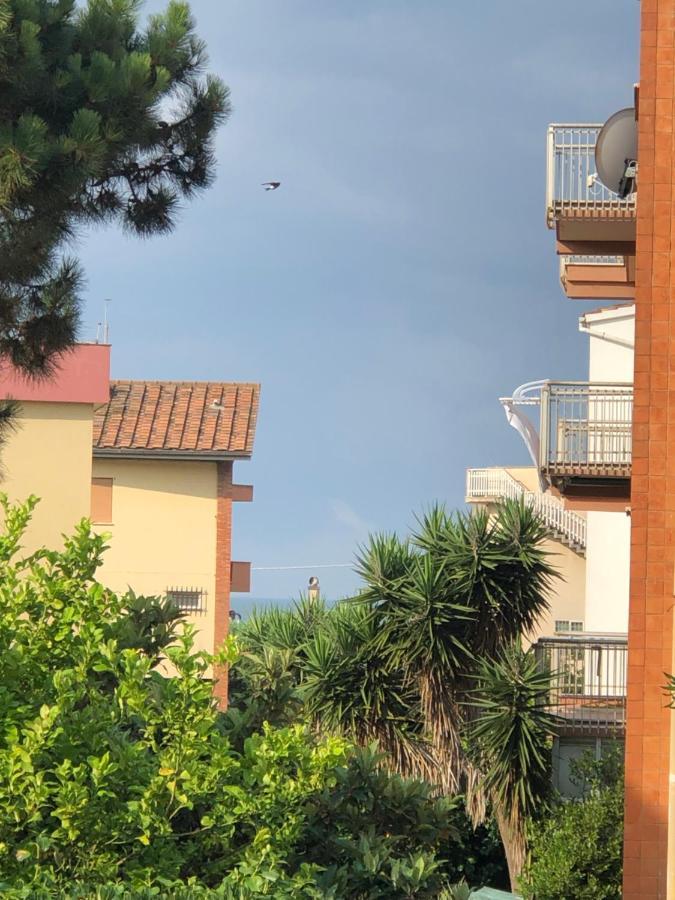 리도디오스티아 Moonlight Next Palapellicone Tra Mare E Pineta Monolocale 아파트 외부 사진